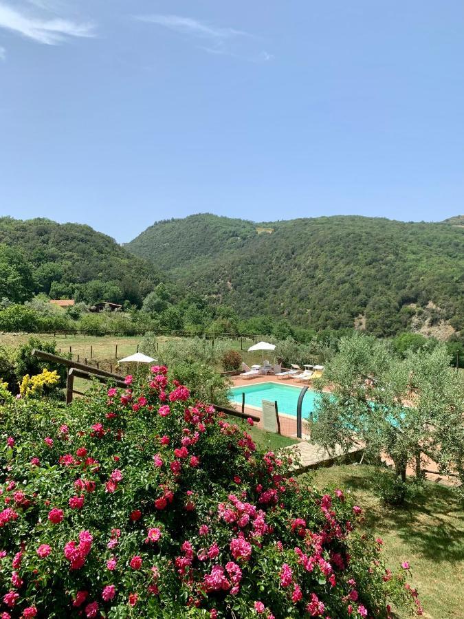 Podere le Mulina Castiglione dʼOrcia Exterior foto